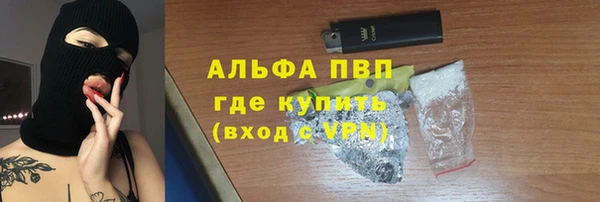 ALPHA PVP Ельня