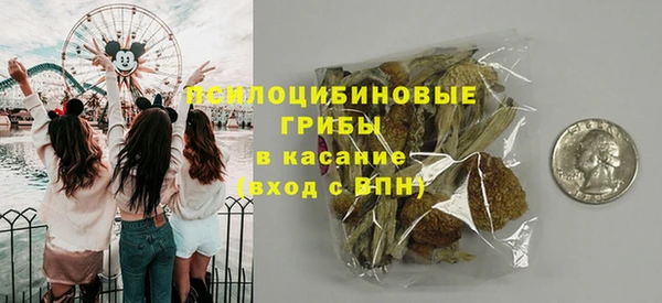 эйфоретик Елабуга