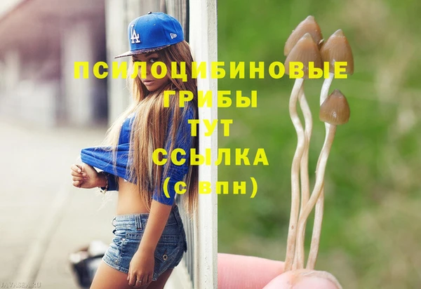 альфа пвп Елизово
