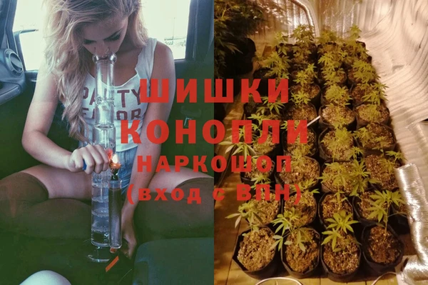 альфа пвп Елизово
