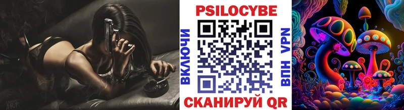 Купить где  Невель  Галлюциногенные грибы Psilocybe 