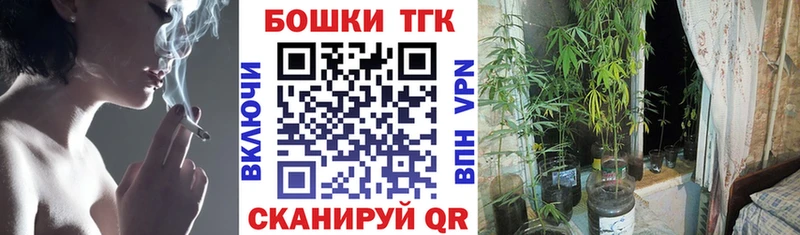 Бошки Шишки план  Купить  Невель 